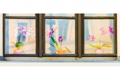 Fenstersichten