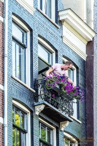 Fenstersichten