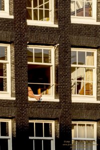 Fenstersichten