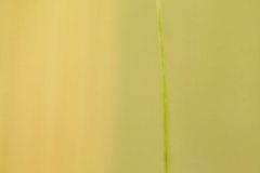 Haiku-Fotografie