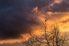 Himmlisches Wolkenlicht mit Vogelgezwitscher