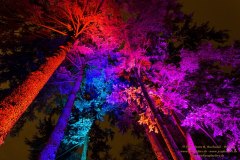 21_JRB_6393_kl