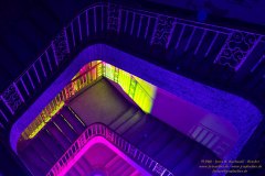 IMG_4904_kl