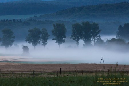 Nebellandschaft