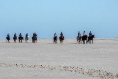 JRB_07_Spiekerooger_Reiter_IMG_2907