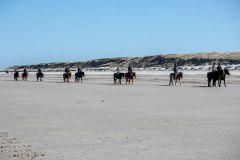 JRB_08_Spiekerooger_Reiter_IMG_2912