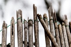 umzäunt - farbig