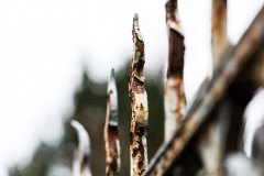 umzäunt - farbig