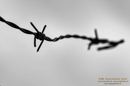 umzäunt - sw
