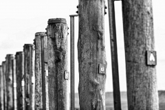 umzäunt - sw