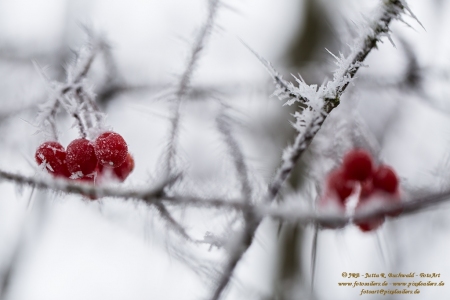 Winterzeit