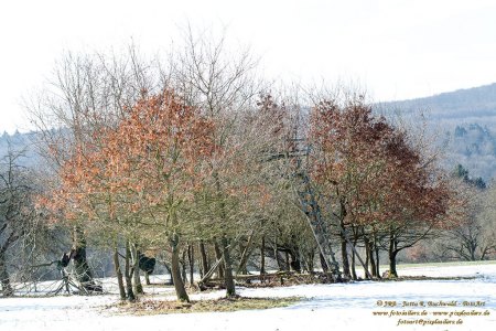Winterzeit