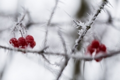 Winterzeit