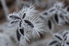Winterzeit
