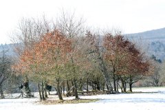 Winterzeit